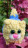 Knitted toy &quot;Gingerbread cat&quot; little
